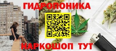 гашик Ставрополь