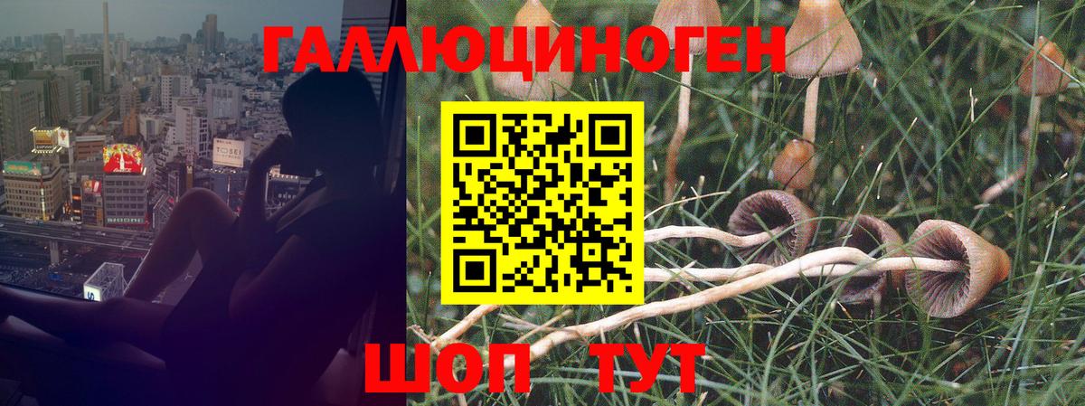 Псилоцибиновые грибы Magic Shrooms Набережные Челны