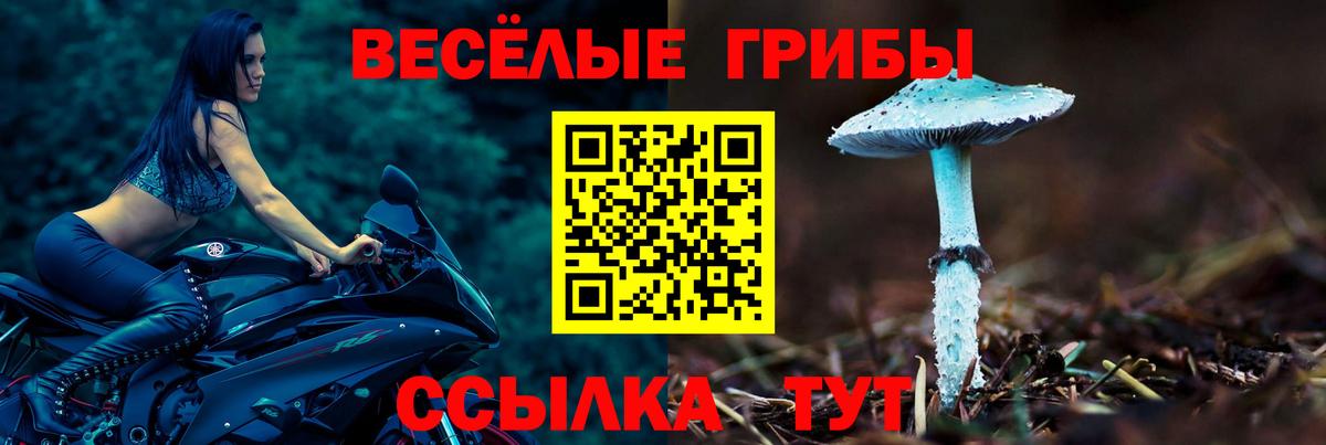 Набережные Челны  Псилоцибиновые грибы ЛСД  Галлюциногенные грибы Psilocybine cubensis  Вход с VPN 